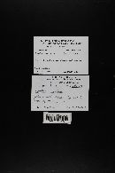 Cystoderma amianthinum image