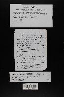 Image Associated With the Occurrence