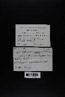 Image Associated With the Occurrence