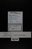 Image Associated With the Occurrence