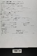 Thumbnail image of current specimen