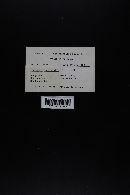 Image Associated With the Occurrence