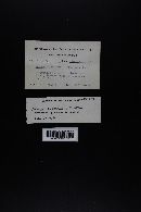 Image Associated With the Occurrence