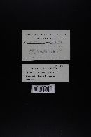 Image Associated With the Occurrence