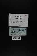 Image Associated With the Occurrence