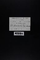 Image Associated With the Occurrence