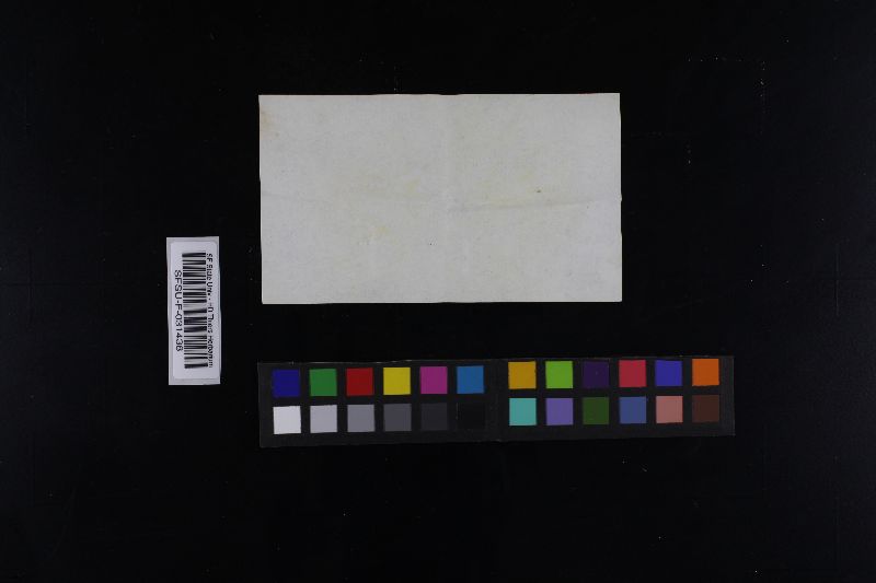 Russula pseudo-olivascens image