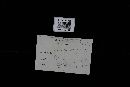 Heterobasidion annosum image