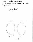 Hebeloma crustuliniforme image
