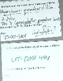 Hygrophorus graveolens image