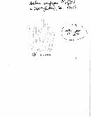 Hebeloma sinapizans image