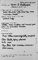 Media resource of Ramaria rubrievanescens