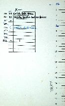 Clavulinopsis laeticolor image