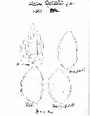 Thumbnail image of current specimen