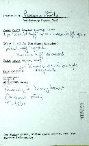 Pleurotus cornucopiae image