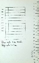 Boletochaete bicolor image