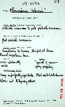 Artomyces candelabrus image