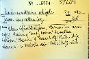Image Associated With the Occurrence