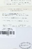 Thumbnail image of current specimen