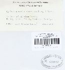 Image Associated With the Occurrence