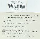 Image Associated With the Occurrence