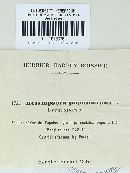 Image Associated With the Occurrence