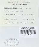 Peniophora cinerea image