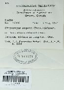 Image Associated With the Occurrence