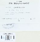 Image Associated With the Occurrence