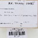 Ganoderma lobatum image