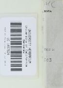 Bovista plumbea image