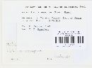 Media resource of Asteridiella anguriae