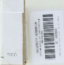 Tricholoma focale image