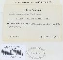 Thumbnail image of current specimen