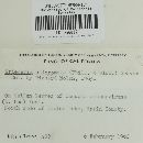 Chloroscypha chloromela image