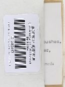 Lyophyllum fuligineum image