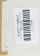 Bjerkandera adusta image