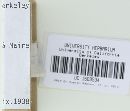 Xeromphalina cauticinalis image