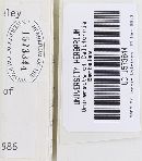 Clavulina castaneipes image