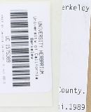 Hygrophorus graveolens image