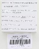 Thumbnail image of current specimen