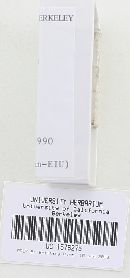 Laccaria bicolor image