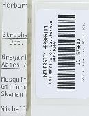 Stropharia hornemannii image