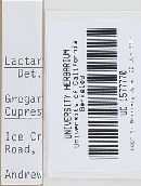 Image Associated With the Occurrence