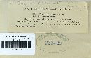 Media resource of Perenniporia ellisiana