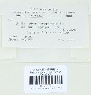 Thumbnail image of current specimen