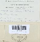 Myxosporium rhois image