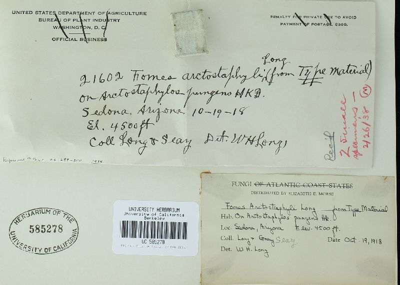 Fomes arctostaphyli image