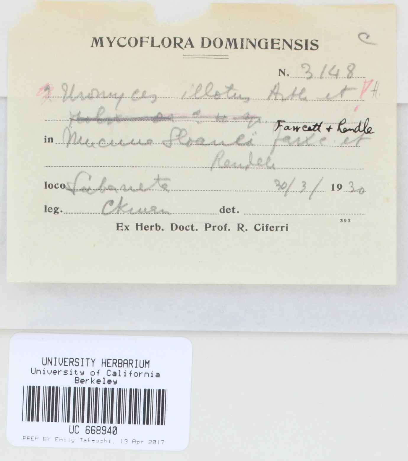 Uromyces illotus