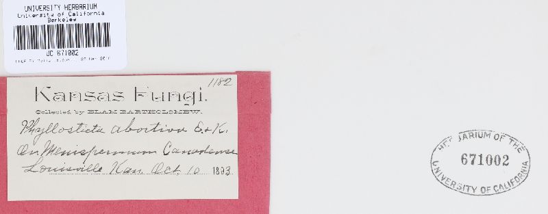 Phyllosticta abortiva image